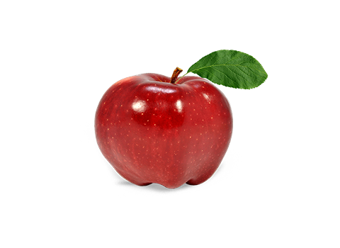 قیمت سیب درختی قرمز + خرید باور نکردنی